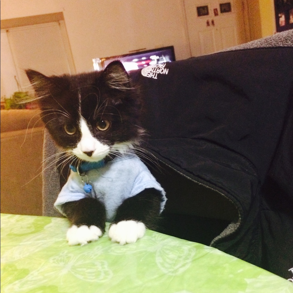 Meet your Posher, Jennifer